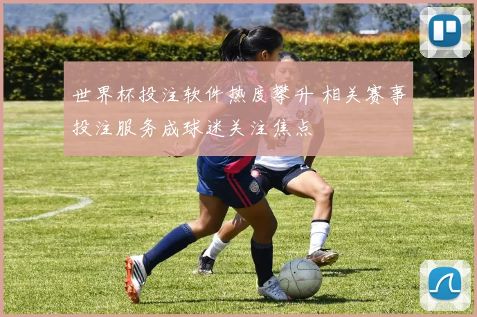 世界杯投注软件热度攀升 相关赛事投注服务成球迷关注焦点