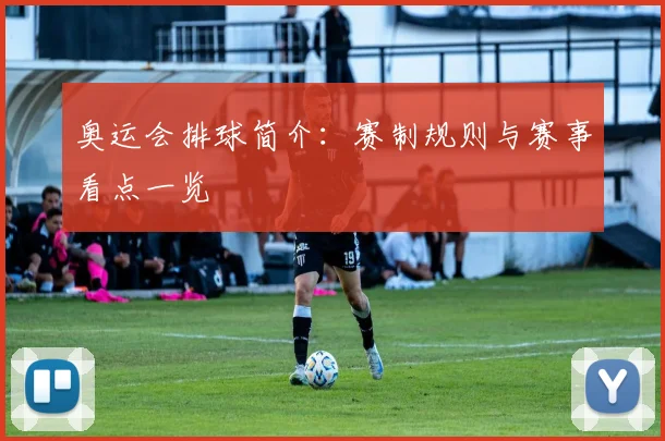 奥运会排球简介：赛制规则与赛事看点一览