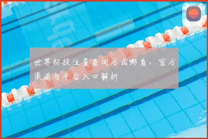 世界杯投注量查询方式哪看,官方渠道与平台入口解析