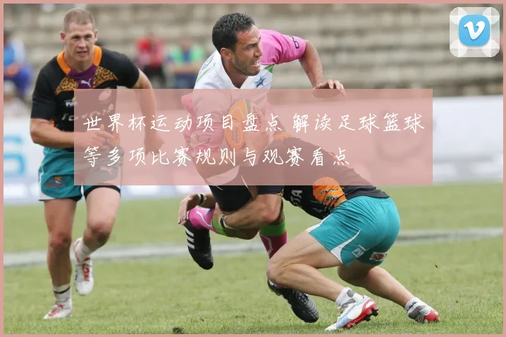 世界杯运动项目盘点 解读足球篮球等多项比赛规则与观赛看点