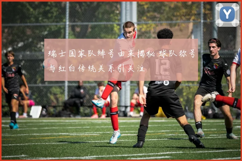 瑞士国家队绰号由来揭秘 球队称号与红白传统关系引关注